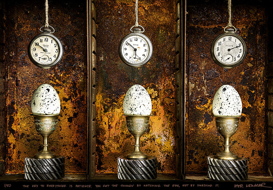 The key to everything is patience. You get the chicken by hatching the egg, not by smashing it. - Igor Menaker Fine Art Photography