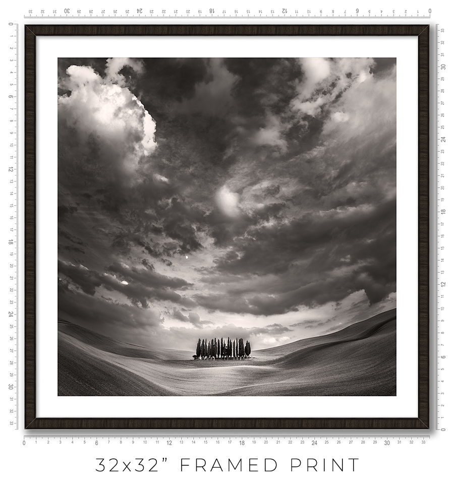 The Grove - Igor Menaker Fine Art Photography