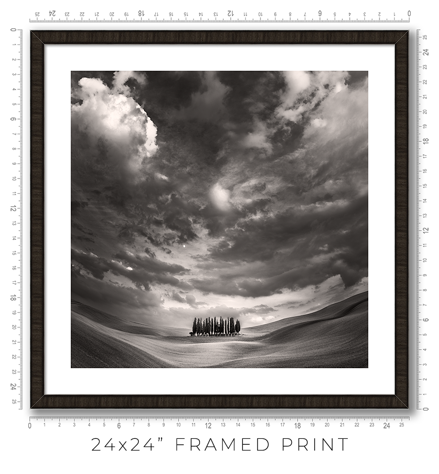 The Grove - Igor Menaker Fine Art Photography