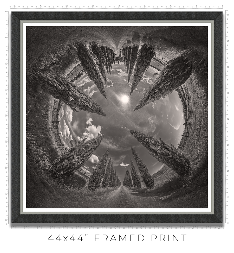 Vertigo - Igor Menaker Fine Art Photography