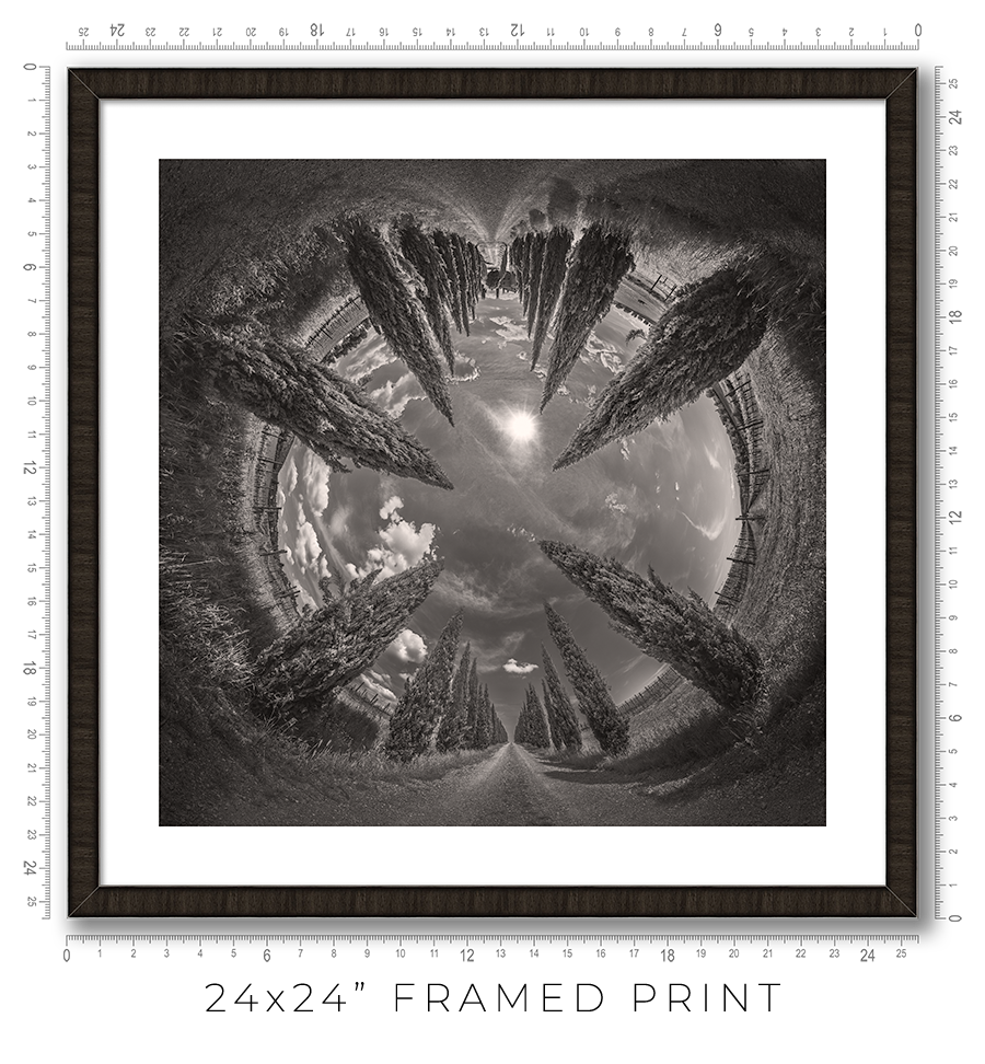 Vertigo - Igor Menaker Fine Art Photography