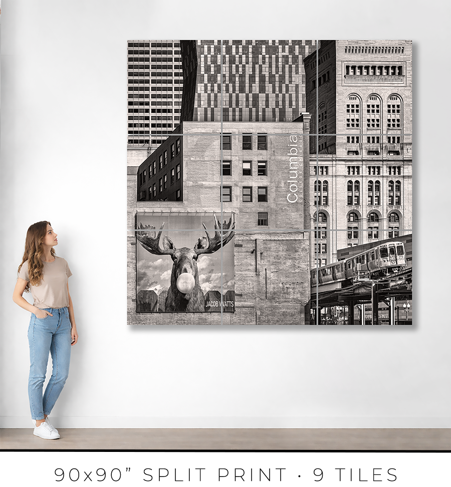 Columbia College Chicago - Igor Menaker Fine Art Photography