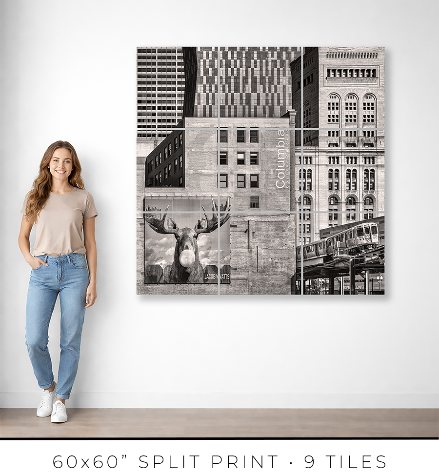 Columbia College Chicago - Igor Menaker Fine Art Photography
