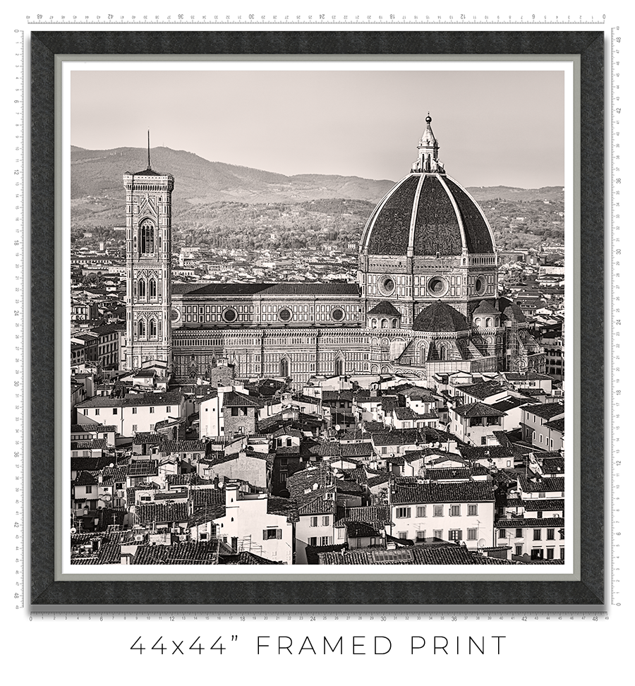 Florence Cathedral from Above