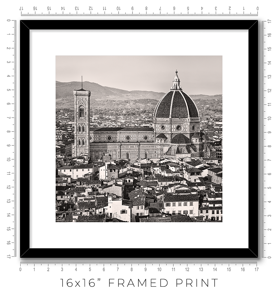 Florence Cathedral from Above