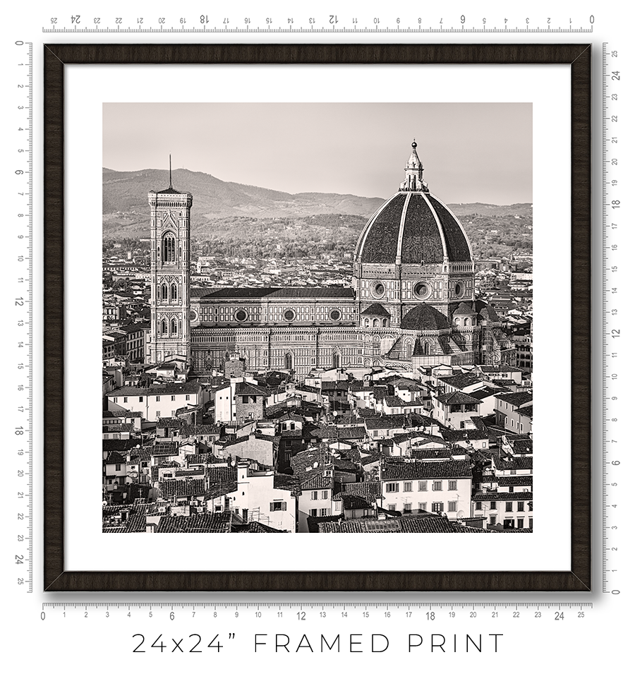 Florence Cathedral from Above