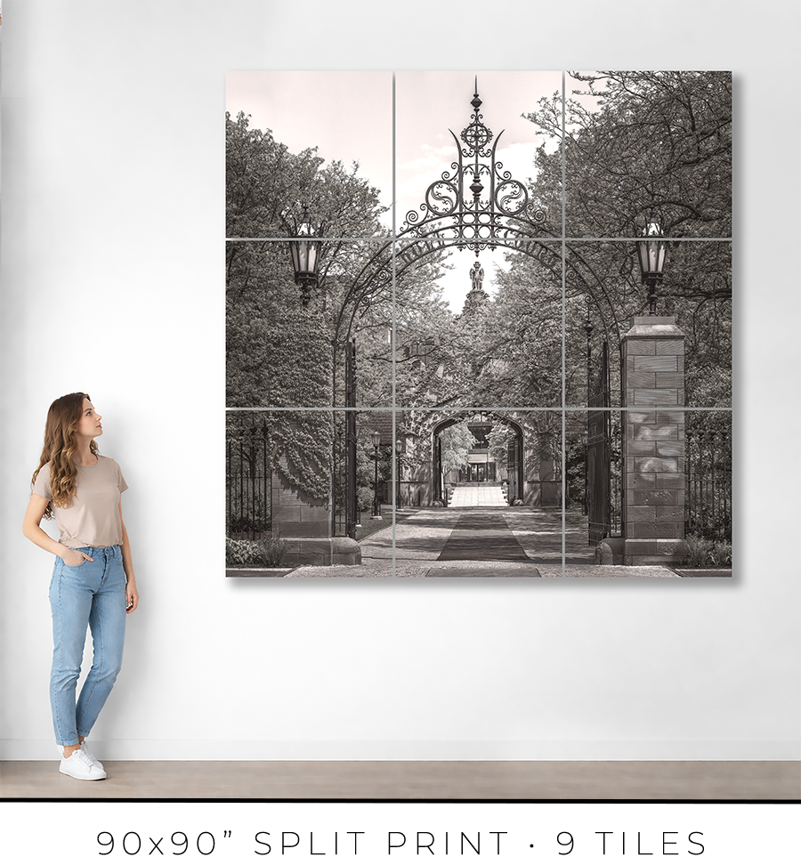 Hull Court Gate at the University Of Chicago - Igor Menaker Fine Art Photography