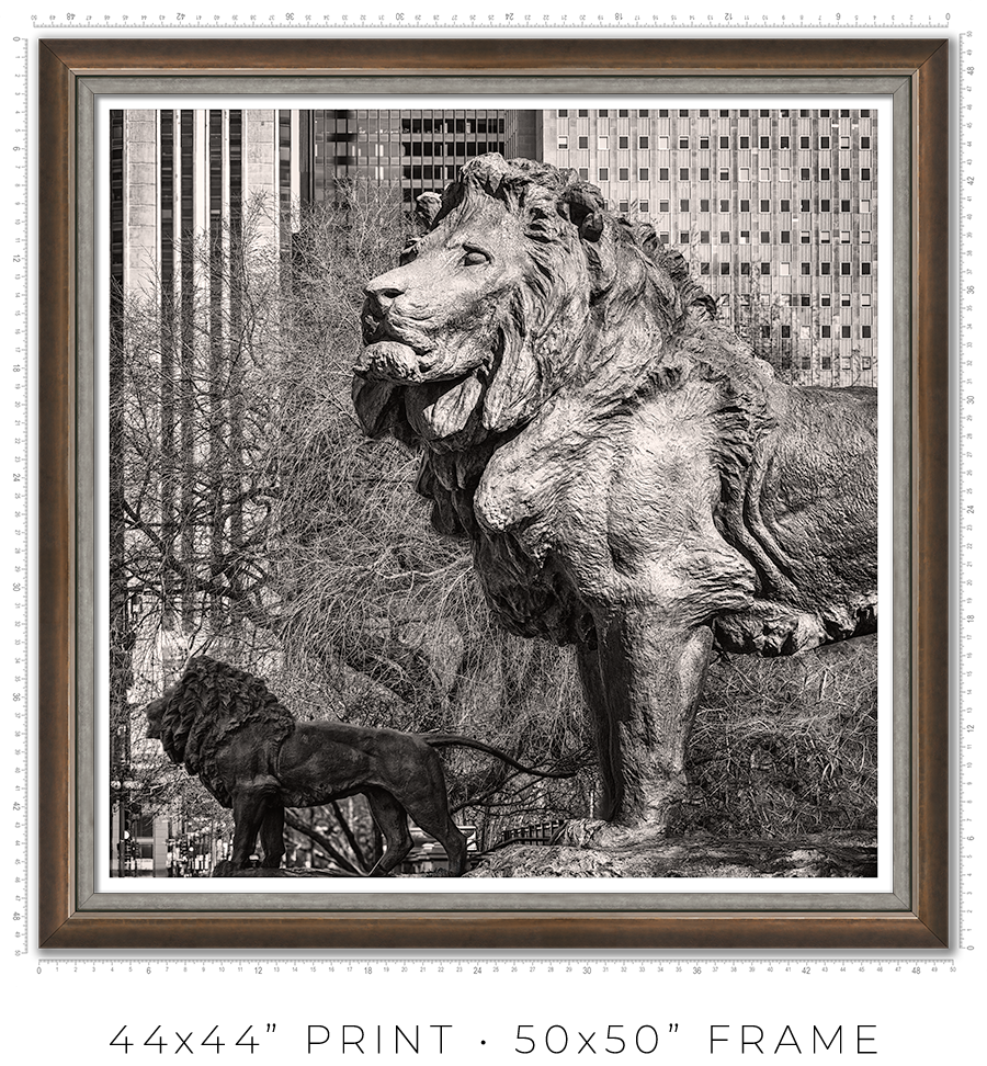 Lions of the Art Institute - Igor Menaker Fine Art Photography