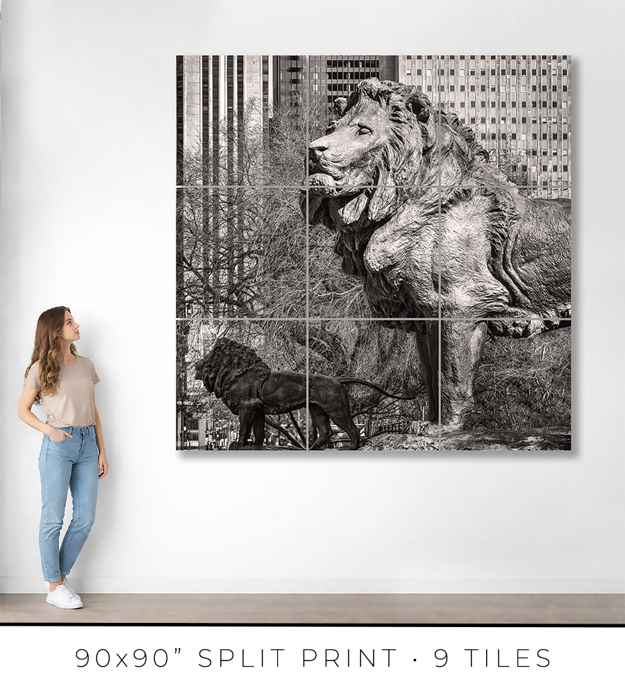 Lions of the Art Institute - Igor Menaker Fine Art Photography