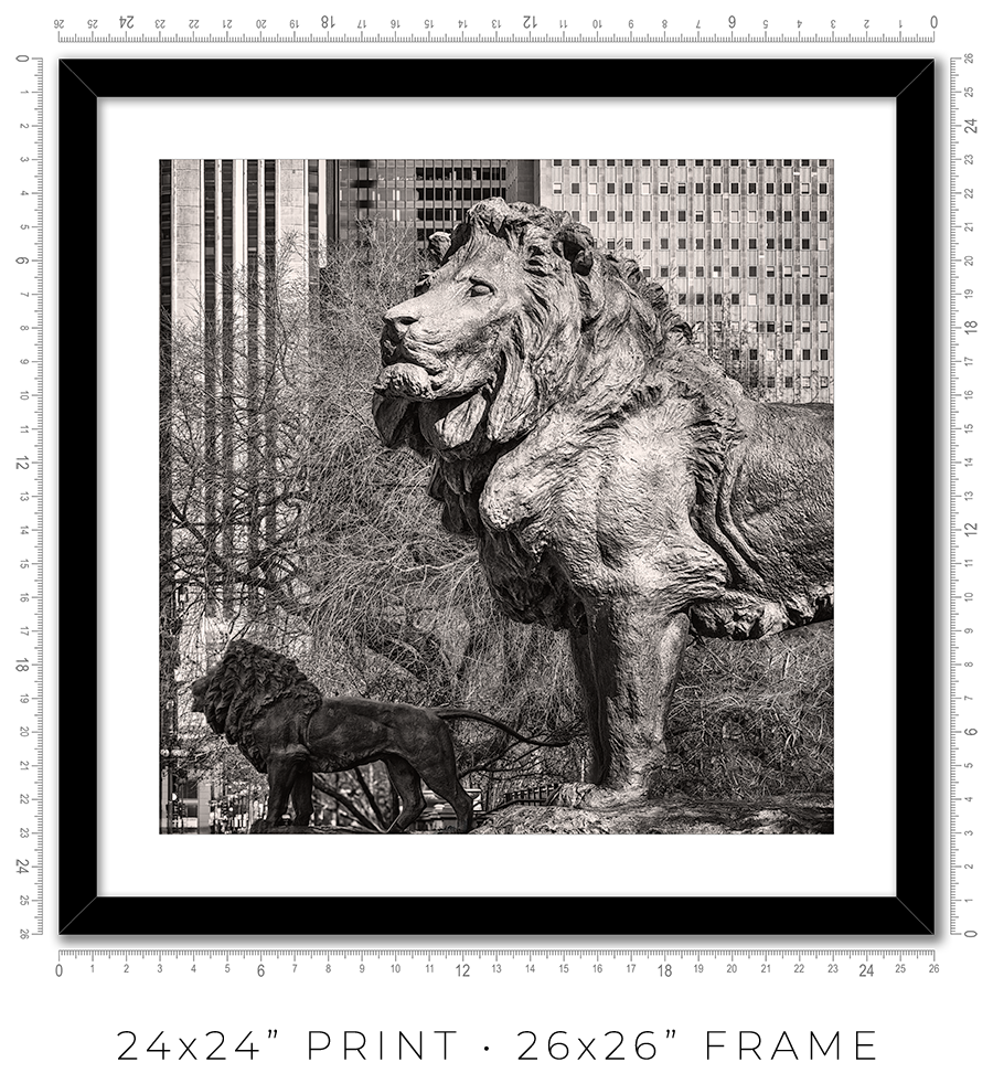 Lions of the Art Institute - Igor Menaker Fine Art Photography