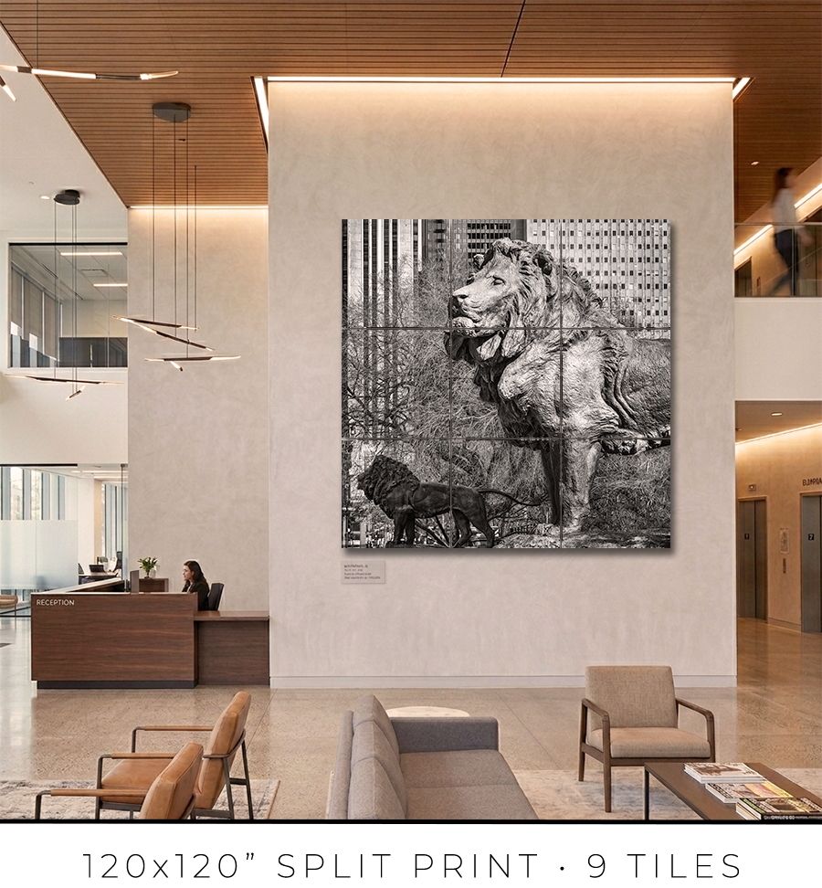 Lions of the Art Institute - Igor Menaker Fine Art Photography