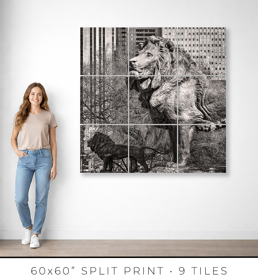 Lions of the Art Institute - Igor Menaker Fine Art Photography