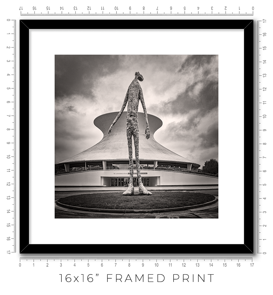 Looking Up - Igor Menaker Fine Art Photography
