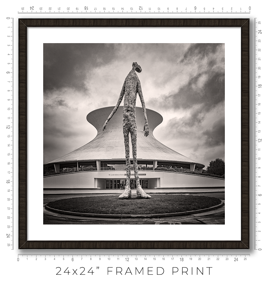 Looking Up - Igor Menaker Fine Art Photography