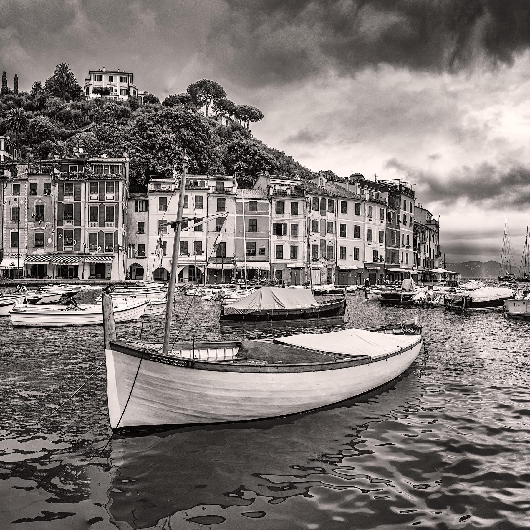 Portofino Harbor