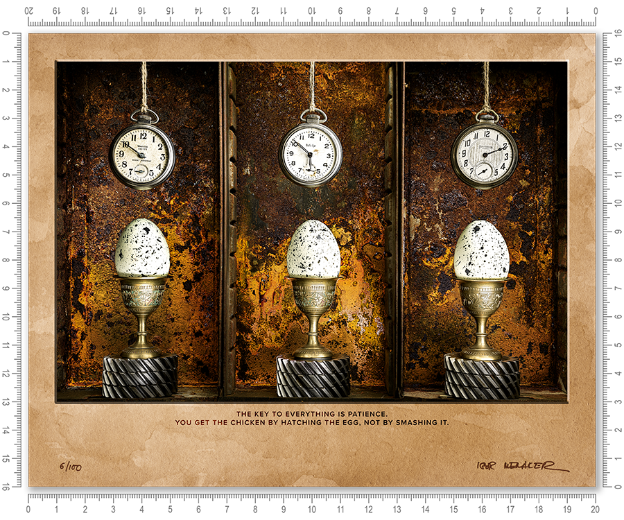 The key to everything is patience. You get the chicken by hatching the egg, not by smashing it. - Igor Menaker Fine Art Photography
