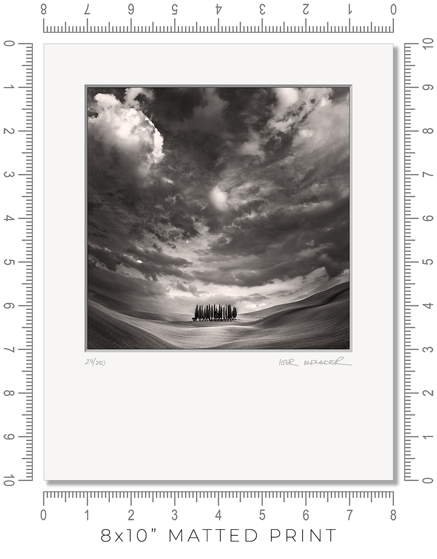 The Grove - Igor Menaker Fine Art Photography