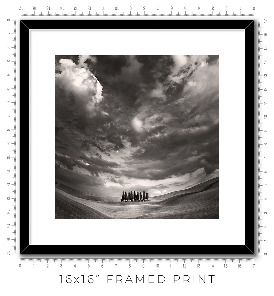 The Grove - Igor Menaker Fine Art Photography