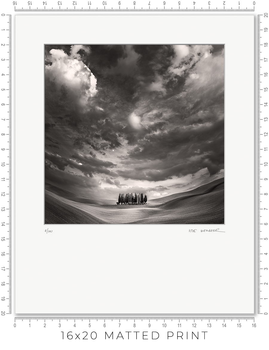 The Grove - Igor Menaker Fine Art Photography