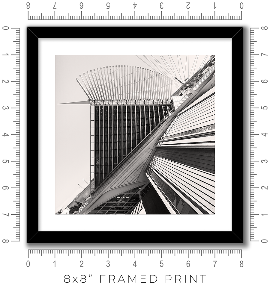 Calatrava VIII - Igor Menaker Fine Art Photography