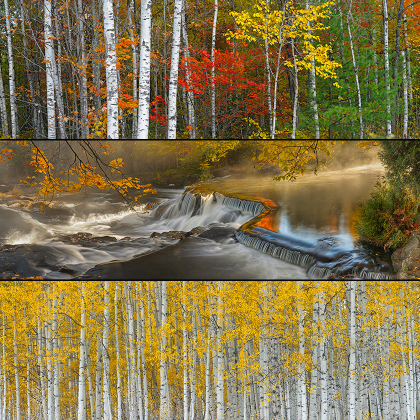 Fall Colors
