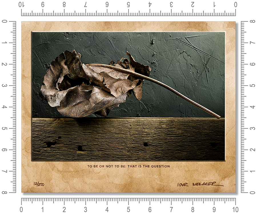 To be or not to be: that is the question