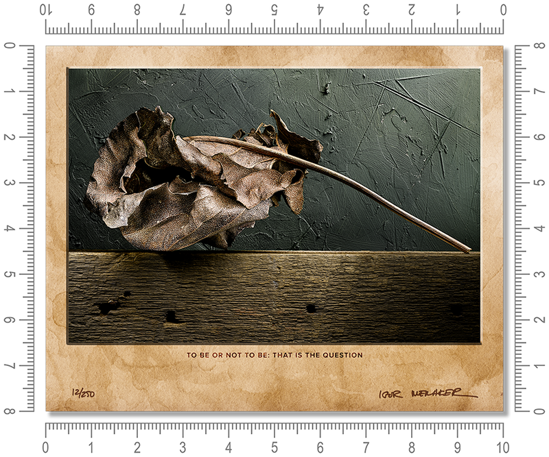 To be or not to be: that is the question
