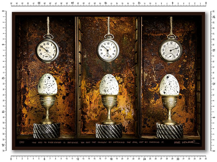 The key to everything is patience. You get the chicken by hatching the egg, not by smashing it. - Igor Menaker Fine Art Photography