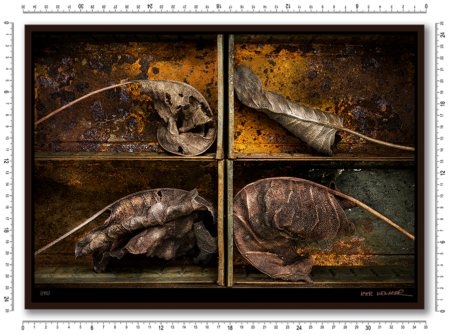 The meaning of life is that it ends - Igor Menaker Fine Art Photography