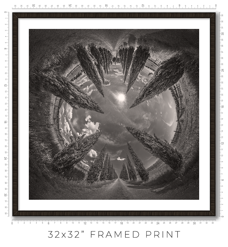 Vertigo - Igor Menaker Fine Art Photography