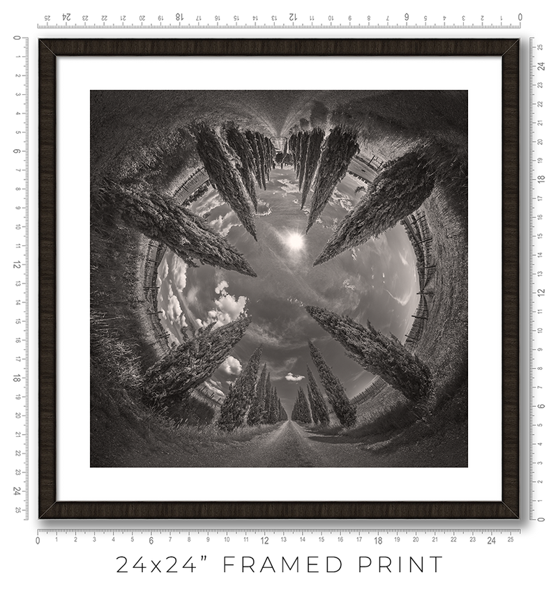 Vertigo - Igor Menaker Fine Art Photography