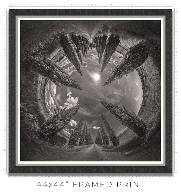 Vertigo - Igor Menaker Fine Art Photography