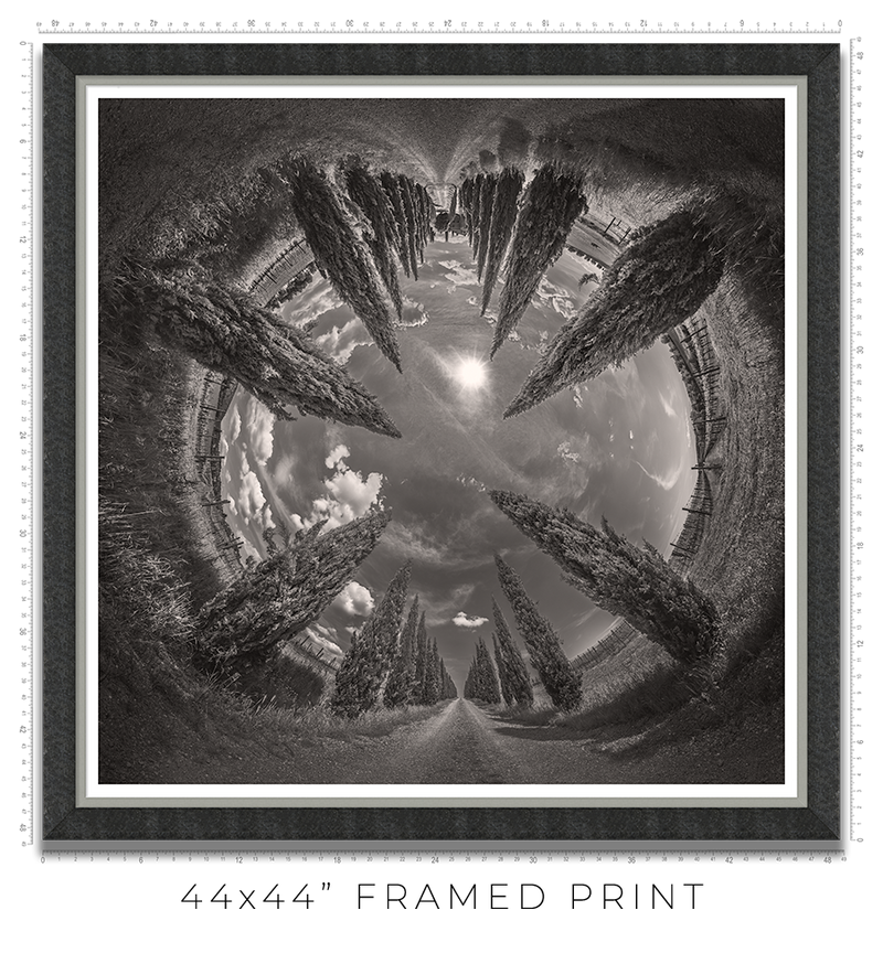 Vertigo - Igor Menaker Fine Art Photography
