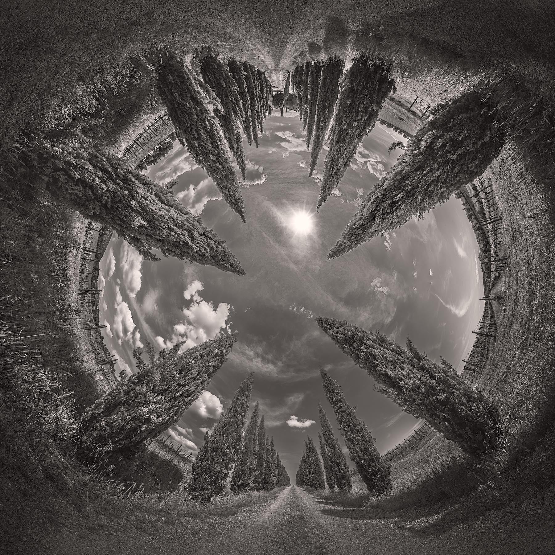 Vertigo - Igor Menaker Fine Art Photography