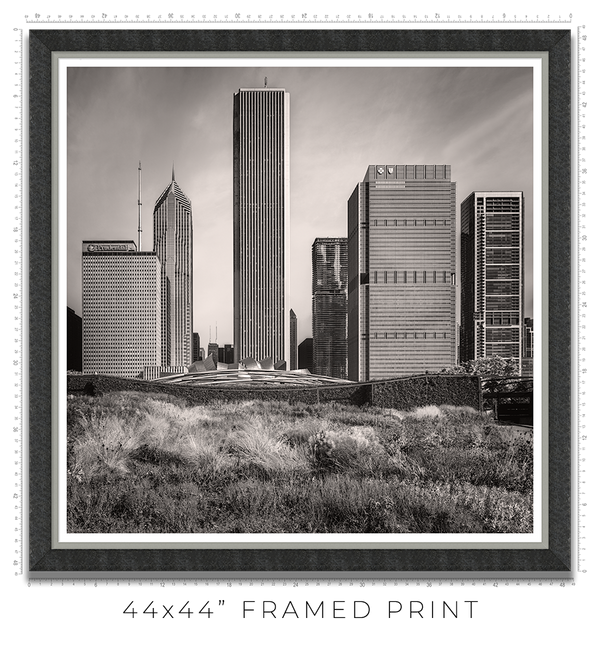 Lurie Garden - Igor Menaker Fine Art Photography