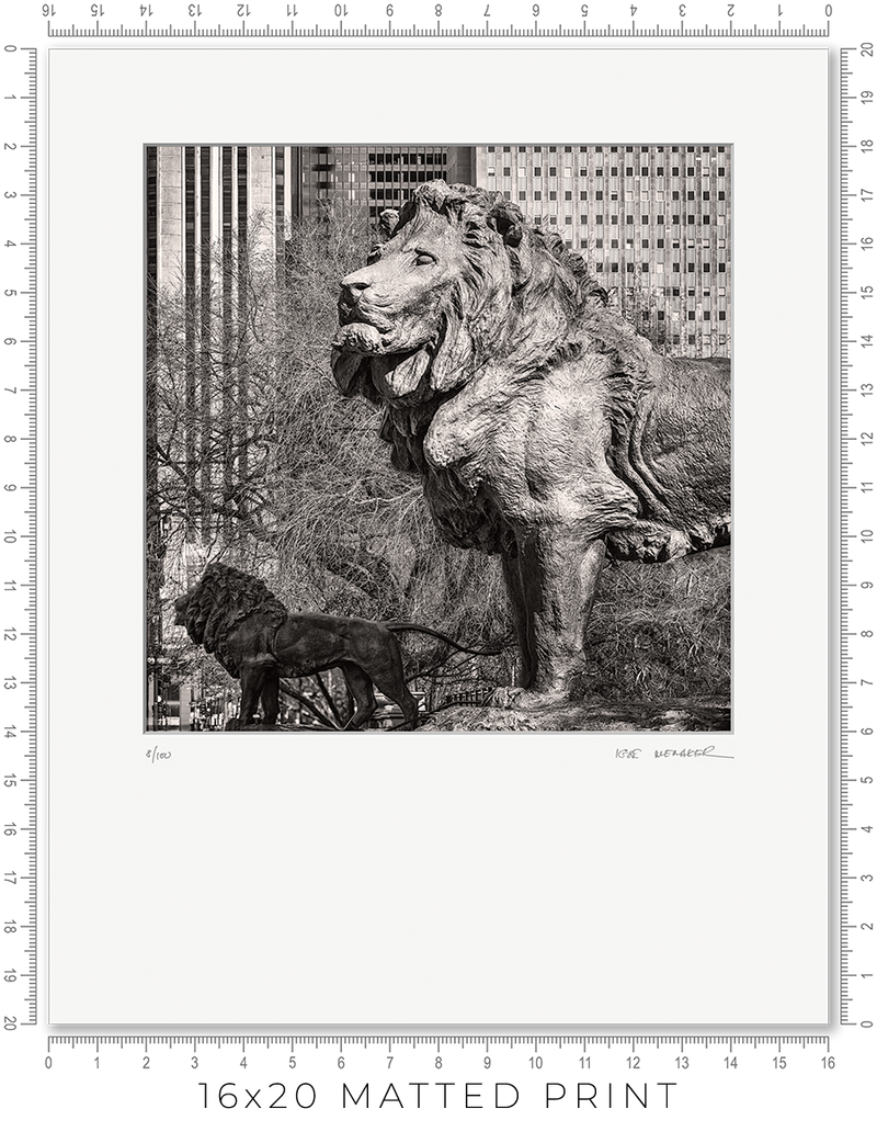 Art Institute Lions