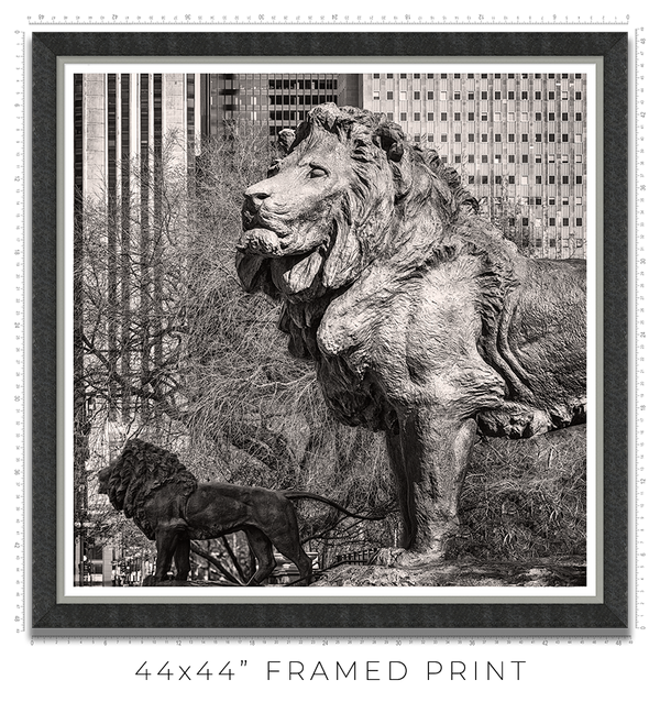 Art Institute Lions
