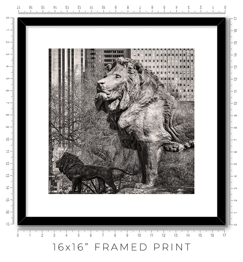 Art Institute Lions
