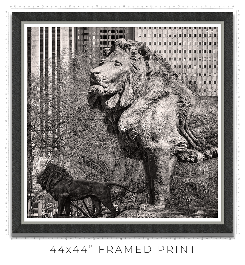 Art Institute Lions