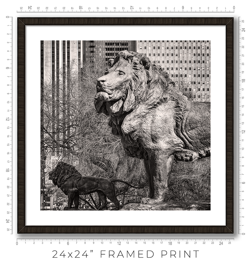 Art Institute Lions