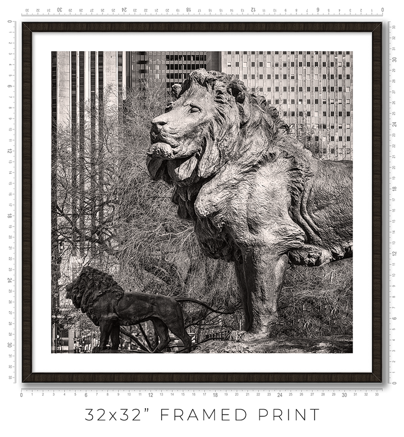 Art Institute Lions