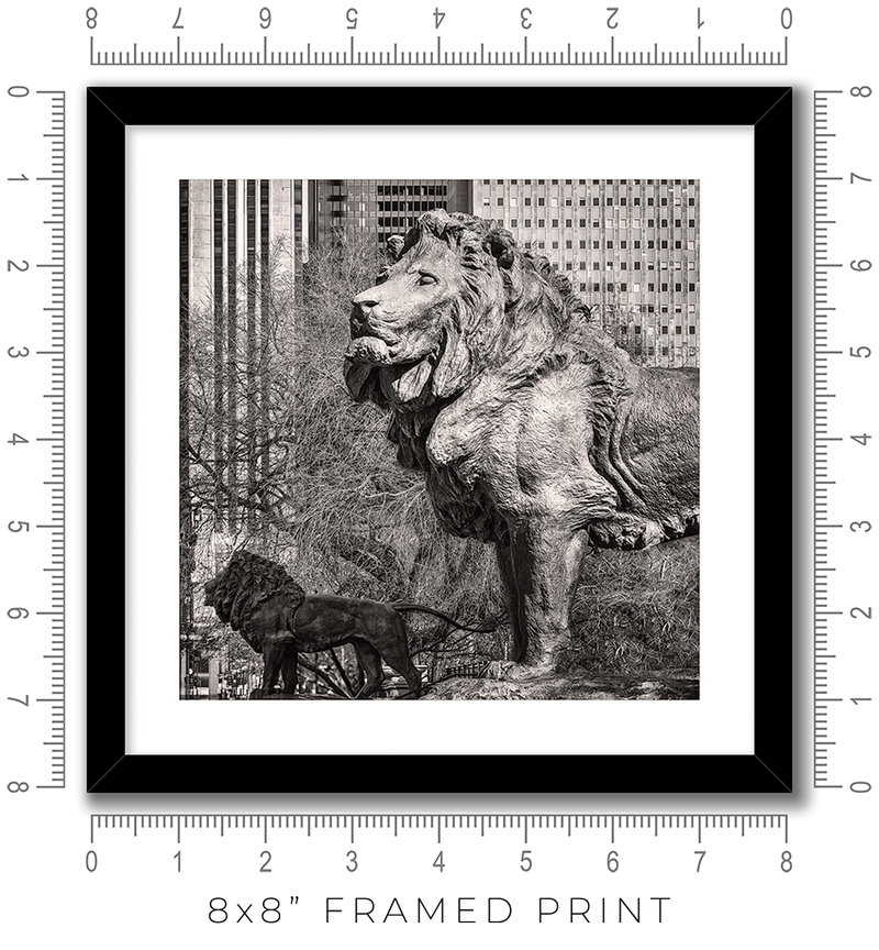 Art Institute Lions