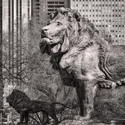 Art Institute Lions