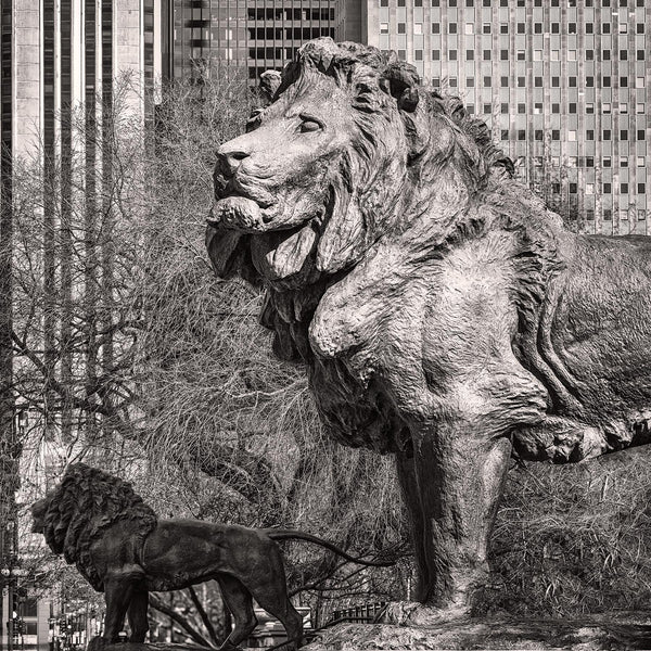 Art Institute Lions