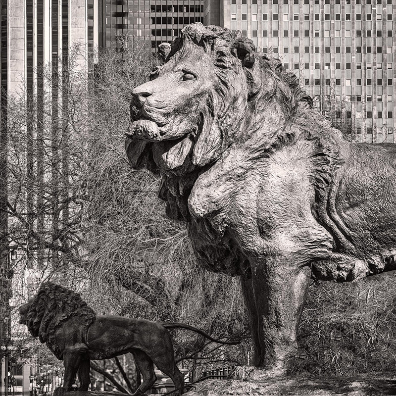 Art Institute Lions