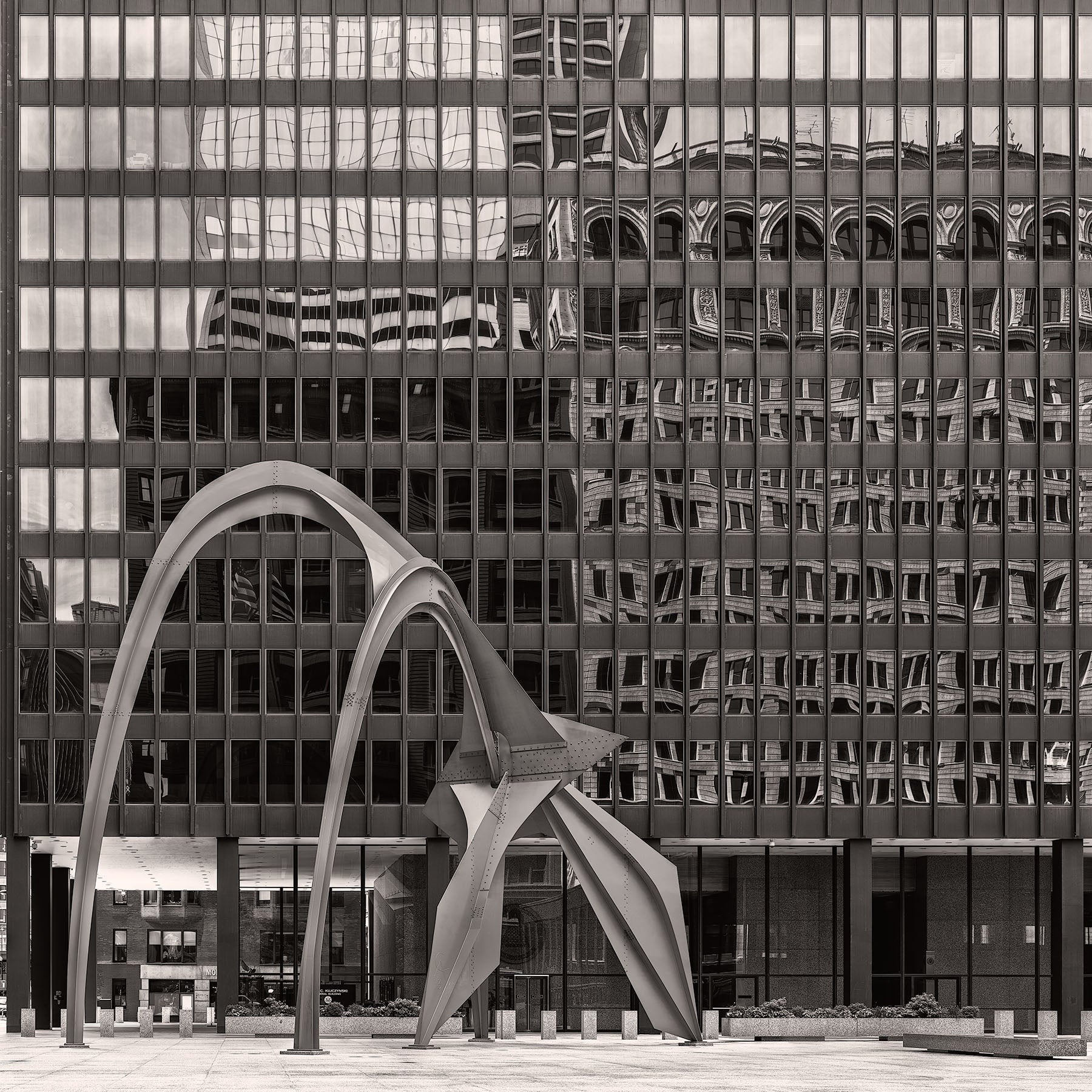 Calder Flamingo South View