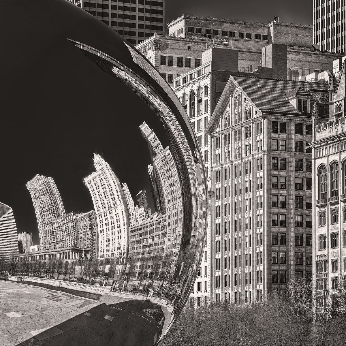 Cloud Gate Michigan Avenue Reflection