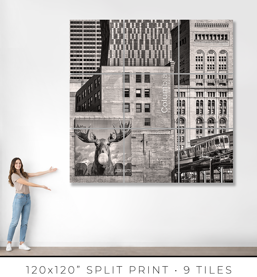 Columbia College Chicago - Igor Menaker Fine Art Photography