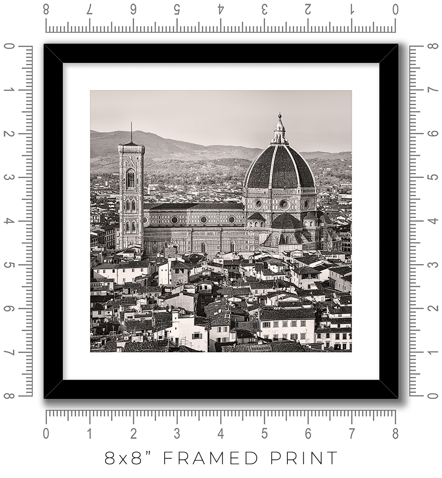 Florence Cathedral from Above