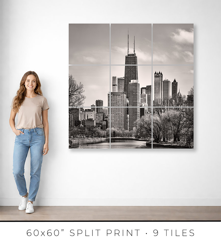 Gold Coast Skyline from Fullerton Avenue Bridge - Igor Menaker Fine Art Photography